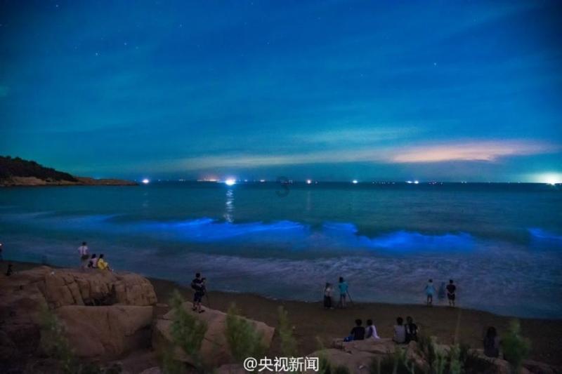 学生的这些奇葩请假理由，气笑老师！你们当我傻吗？