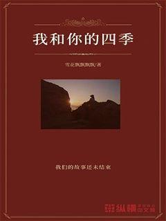 美式橄榄球大赛