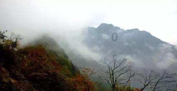 复仇机器人中文版