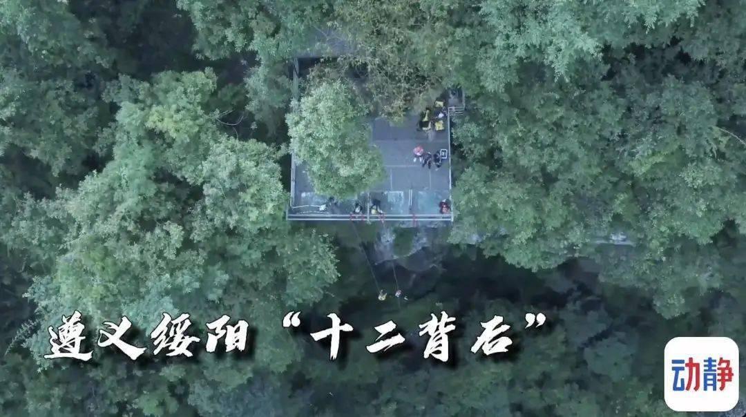 守卫木鱼