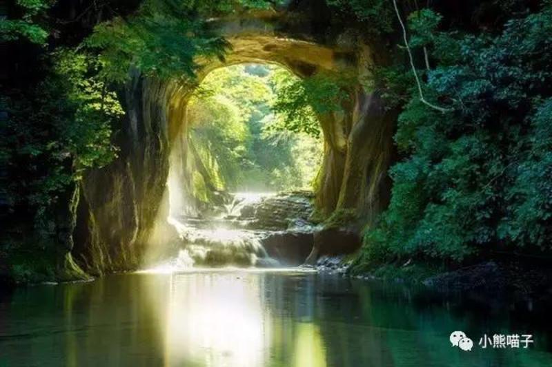 海岛大亨5