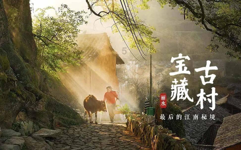 植物大战僵尸18