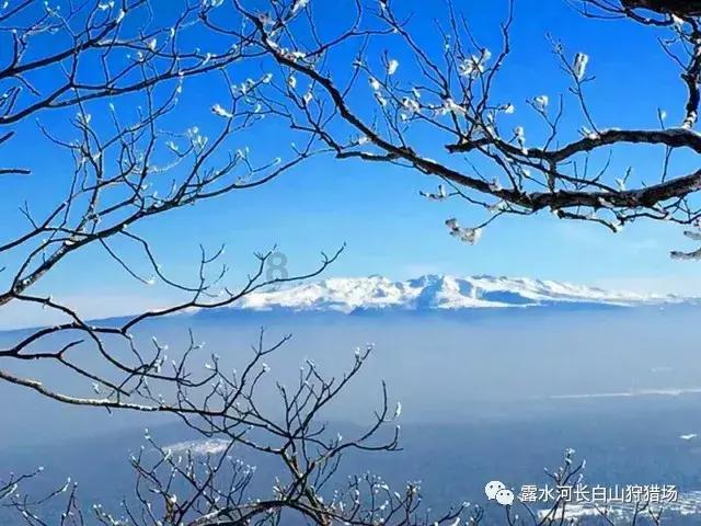 江西省樟树市发布寒潮蓝色预警