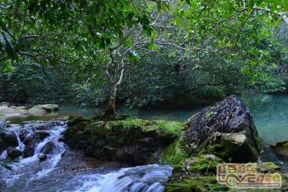 东港区积极发展农村电商赋能乡村振兴