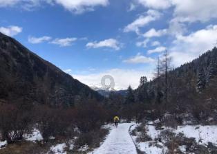 【新闻快递】呼吸与感染性疾病科:PICC置管术 为肥胖患者构建“安全静脉通路”