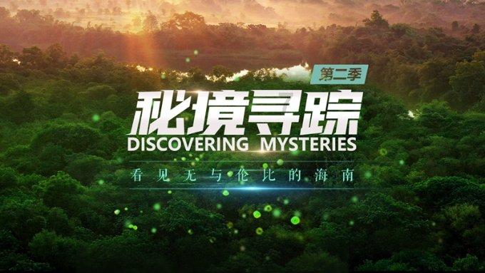 迷路的披萨配送员