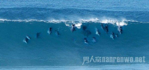 西藏矿业:预计2023年净利润9500万元-1.4亿元,同比下降82.40%至88.06%