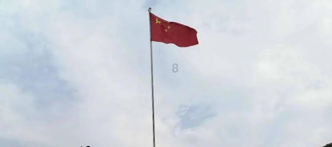 主人在医院死亡,忠犬每天守在医院门口,已经守了四个月仍在继续