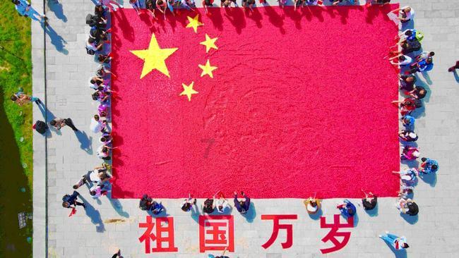 金橙子(688291.SH)：截至2024年1月19日，公司股东总数为6156户