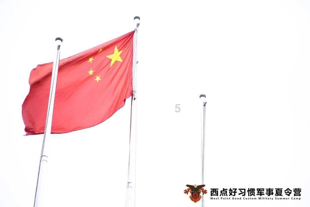 小猫钓鱼游戏龙王版有船