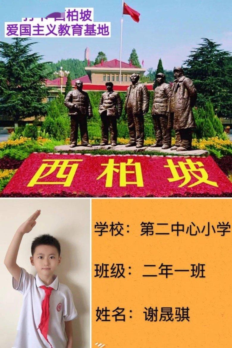 春雨直播app