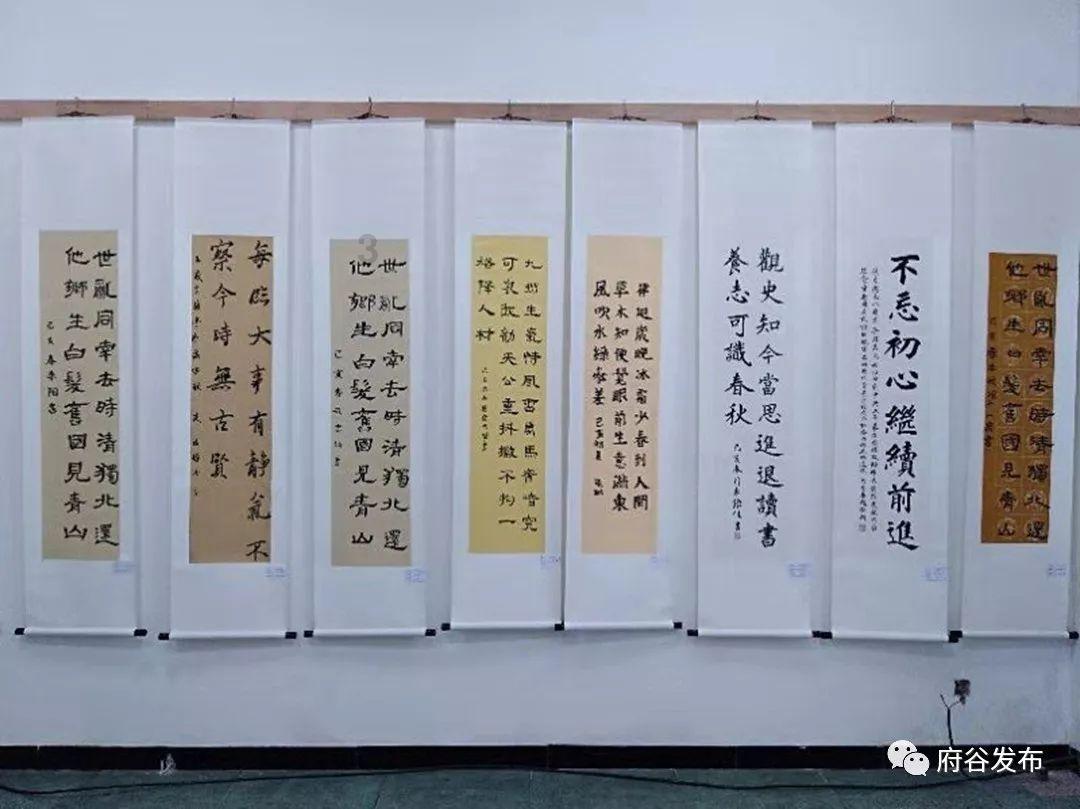 月光影视