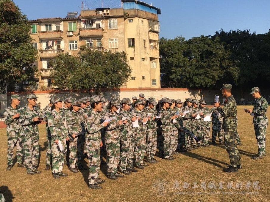 寻找萌小老虎