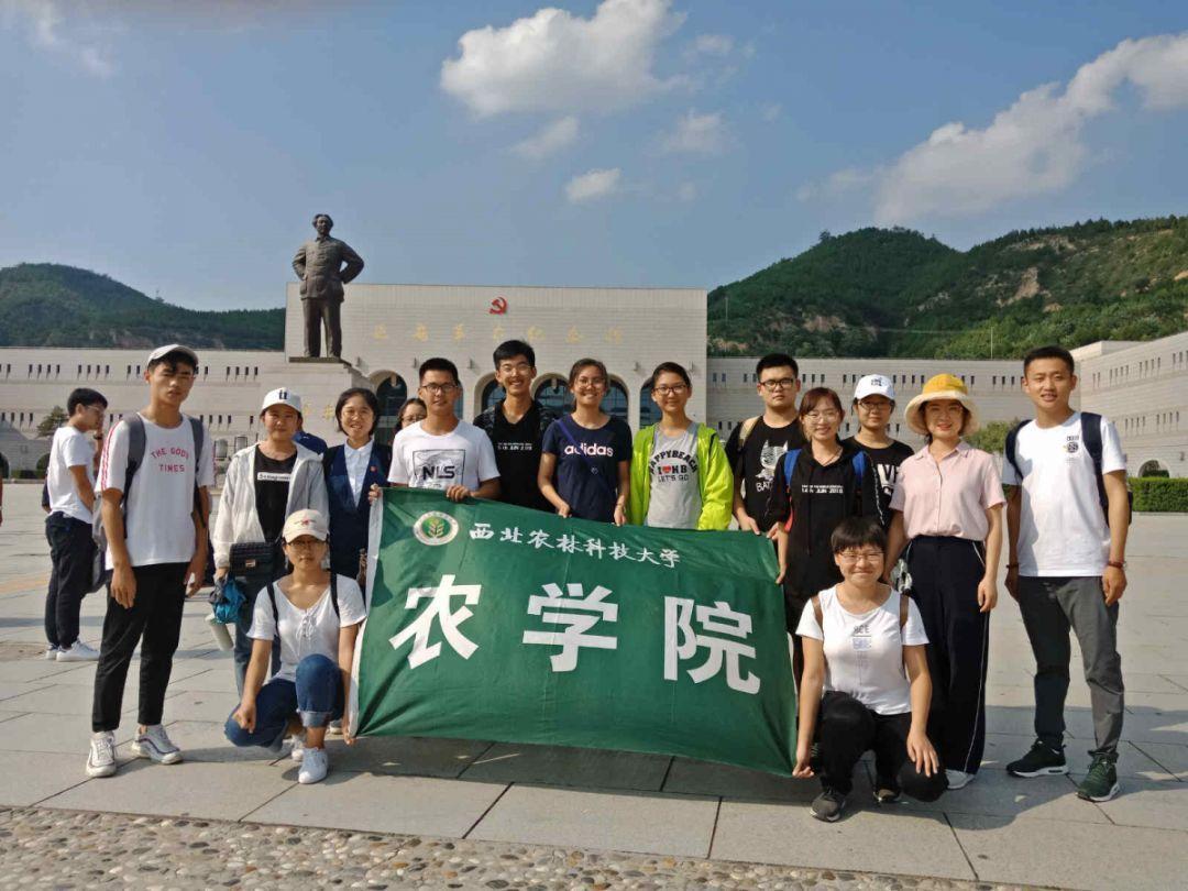 “引进来”和“走出去”并重 金融制度型开放稳步扩大
