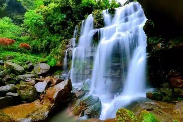 虫虫助手下载