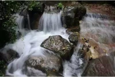 什么是单音节词和多音节词？游戏画面