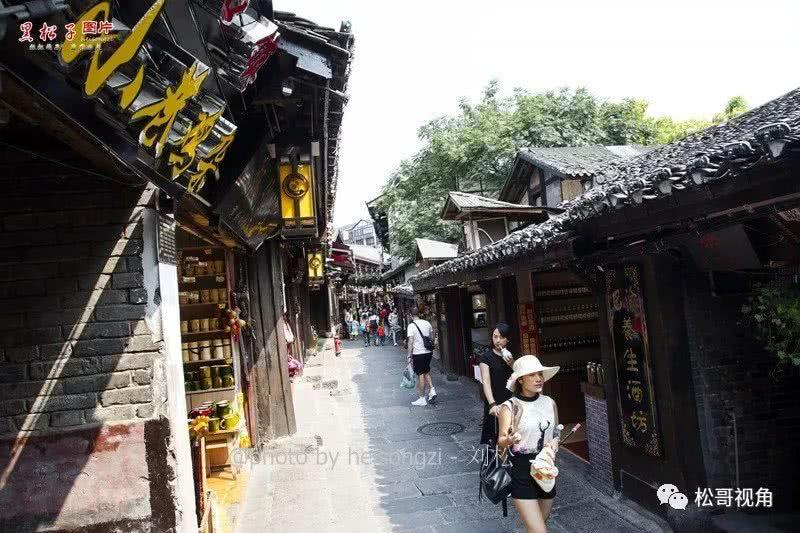 饥饿的松鼠救援