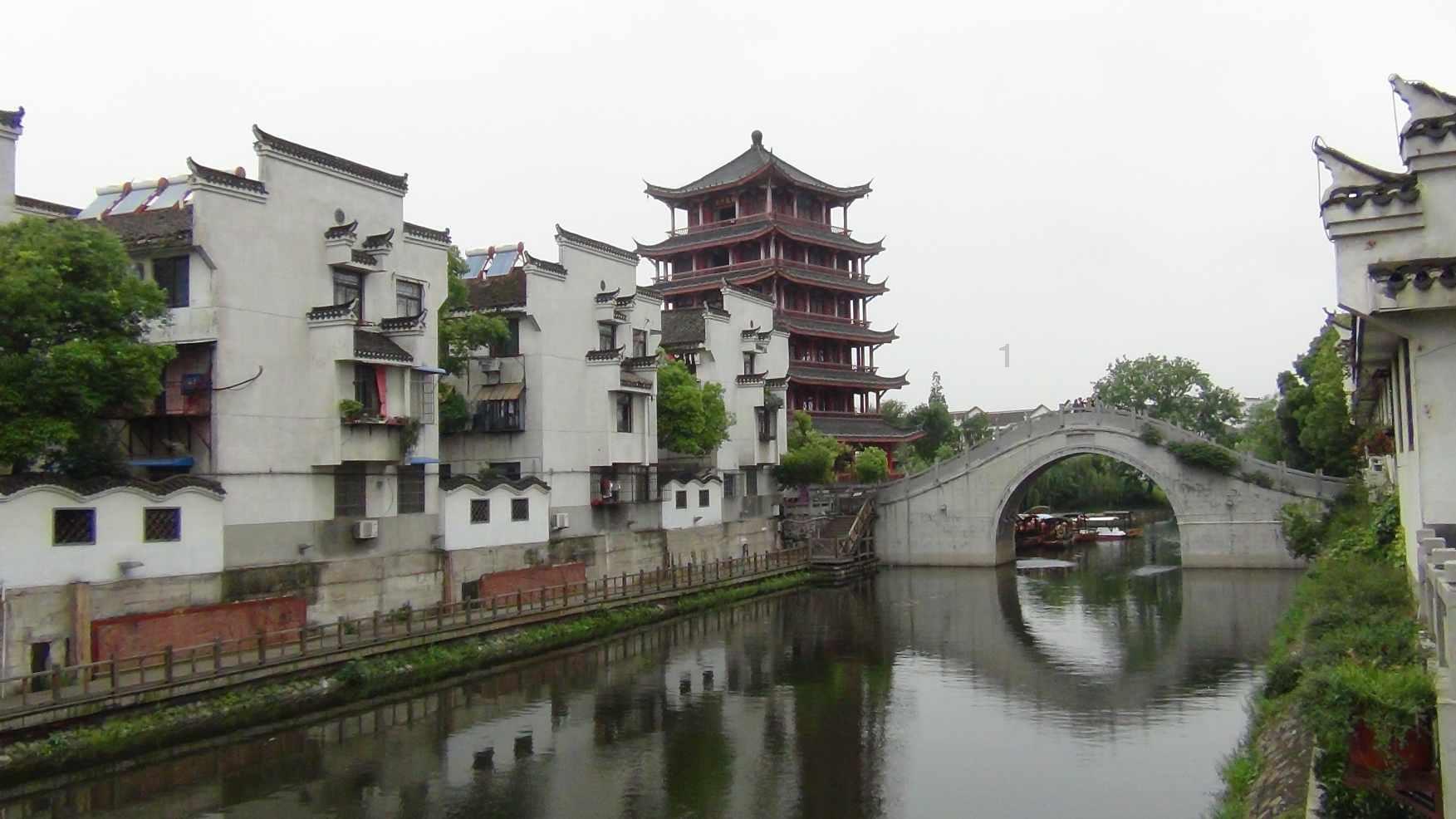 寻找萌宠松鼠