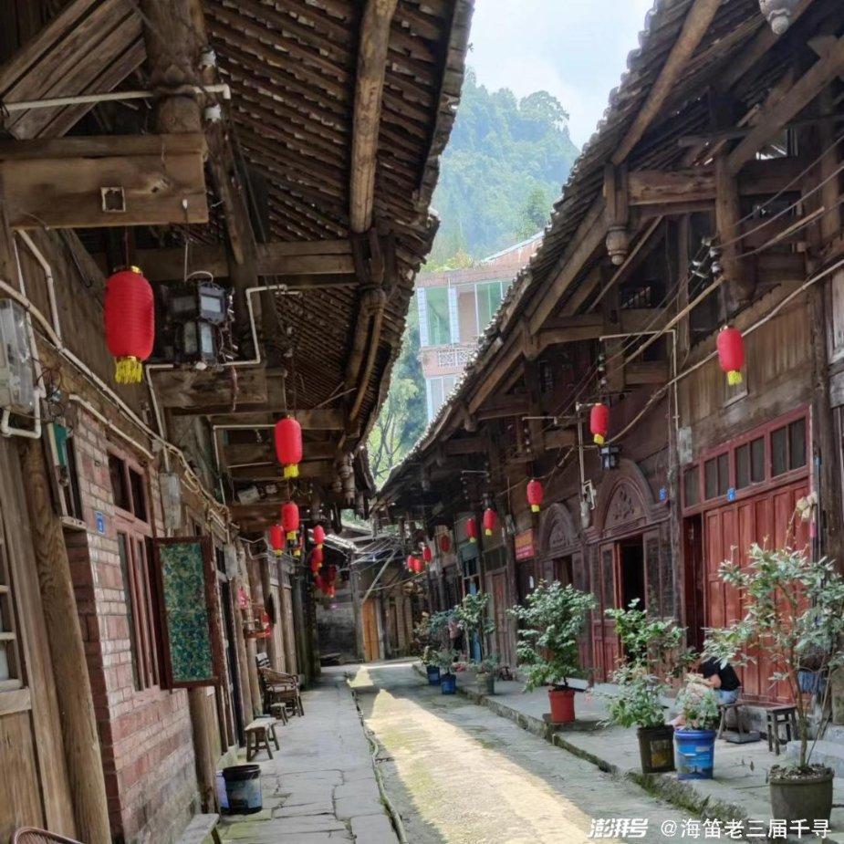 动物帮帮忙保卫家园