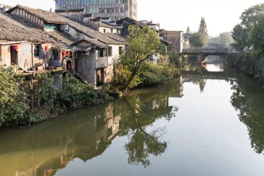 虫虫助手下载