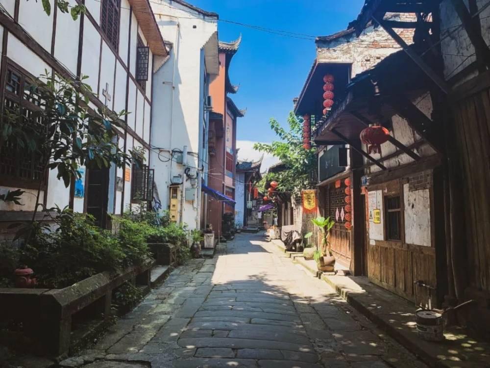全员恶人又杀疯了,真炸裂!陈建斌、胡军新剧,最野的是女杀手?