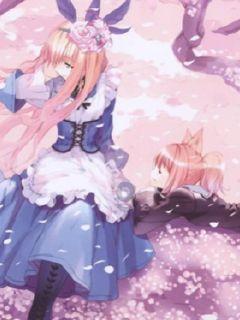 芭比娃娃的服装