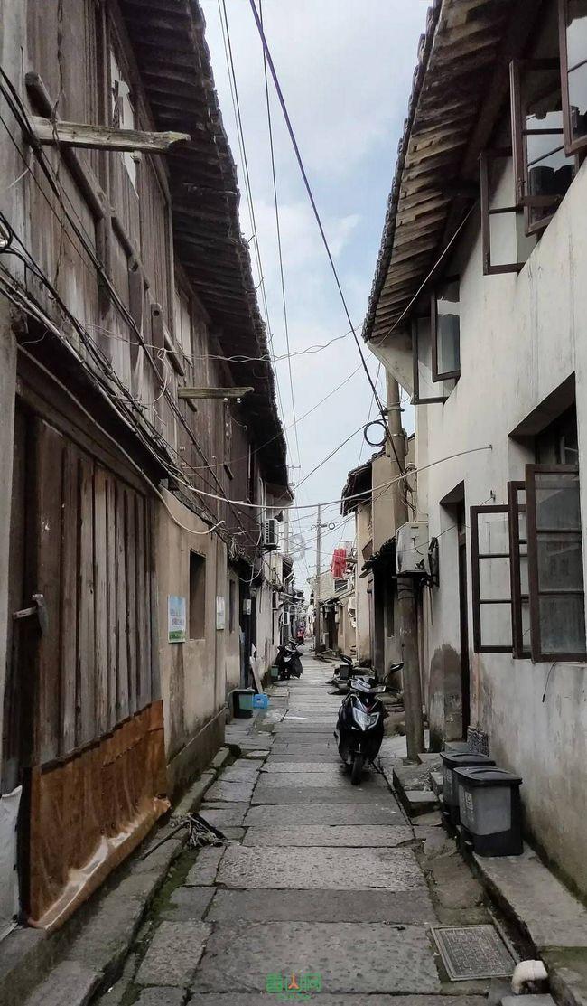 拯救精灵的土地10